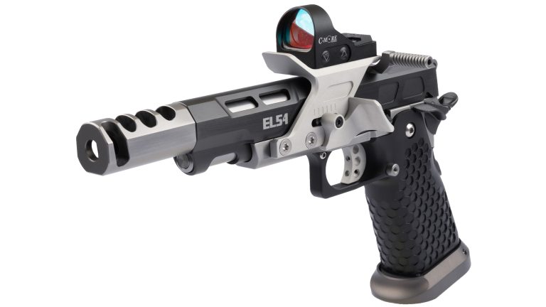 ELSA 5.0